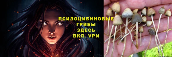 герыч Михайлов