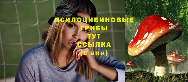 дурь Надым