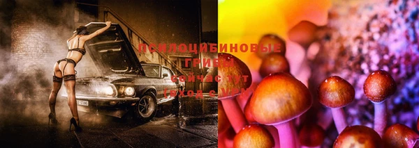 метадон Михайловск